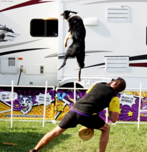 The Wonderdog Show entertains fairgoers